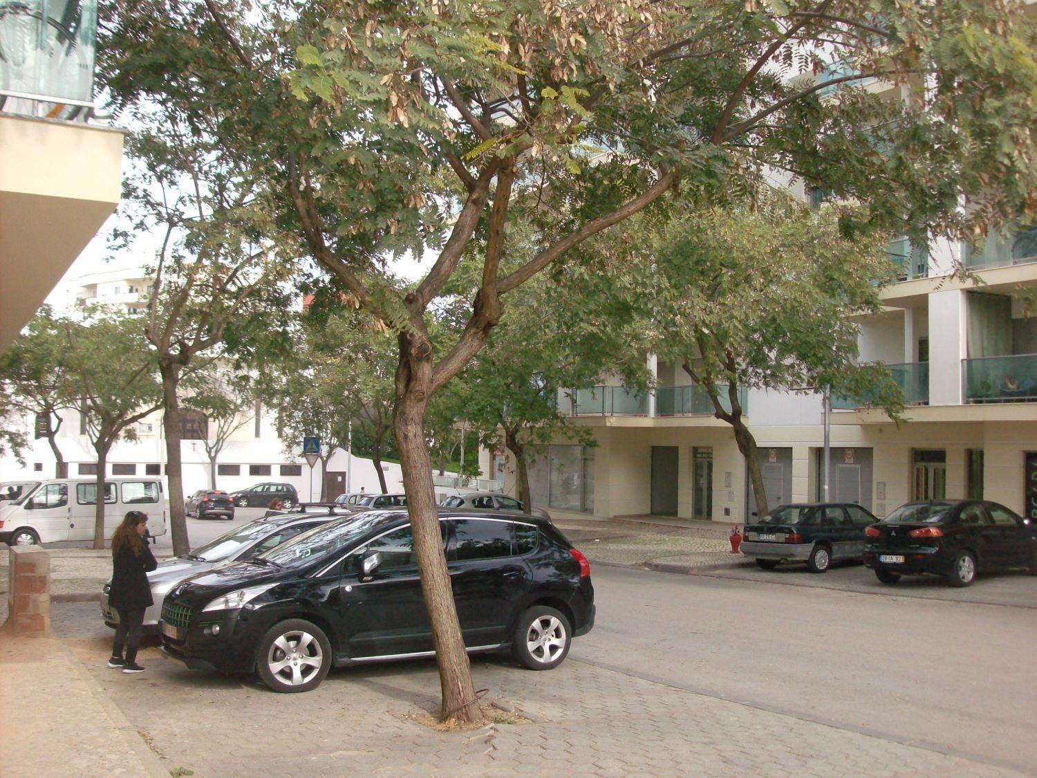 Appartement Pinheiro Portimao Exterior photo
